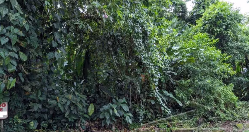 Ubatuba, itamambuca - lote com 518,00 mts2, escritura definitiva, sem liberação ambiental em condomínio segurança 24 hs.