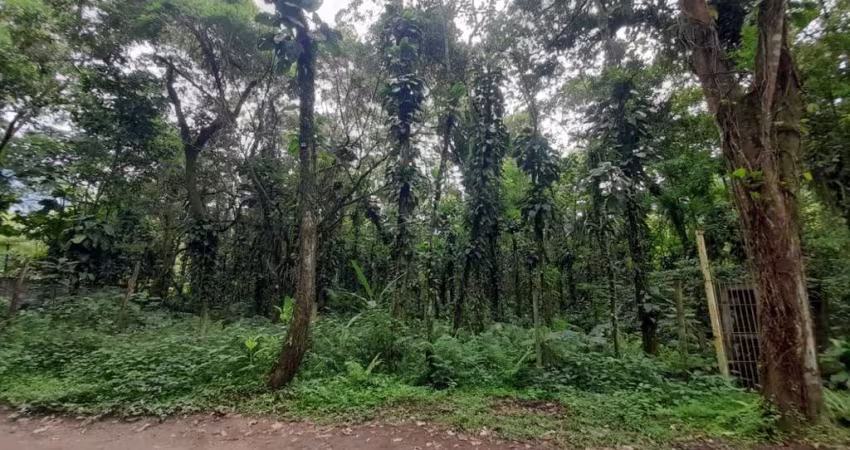 Ubatuba, Horto área de terreno 1.250 m² com vista de frente rodovia