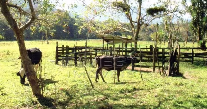 Ubatuba, Bairro Mato Dentro - Área com 3.828.000m2 ou 382.800ha, área para loteamento e tbm crédito carbono, documentação ok