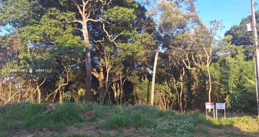 Terreno à venda na Rua José Cipriano De Freitas, 161, Centro, Ibiúna