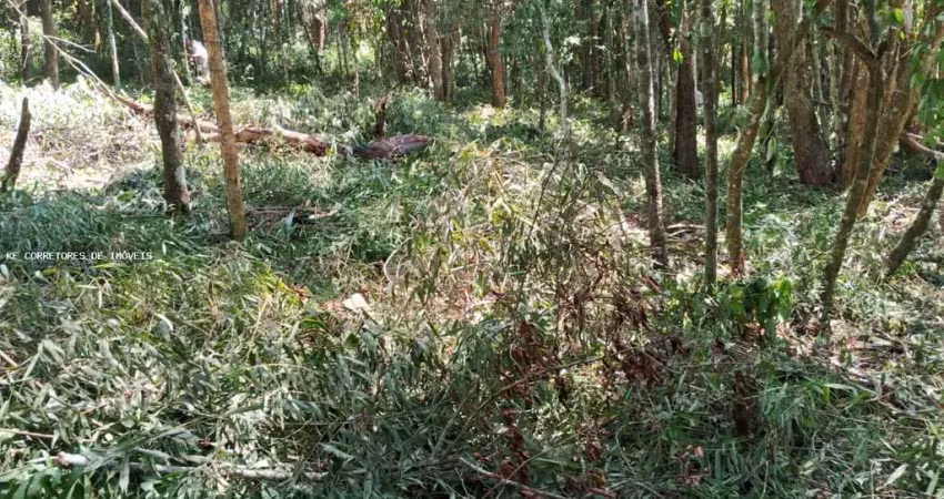 Terreno à venda na Rua José Cipriano de Freitas, 161,2001, Centro, Ibiúna