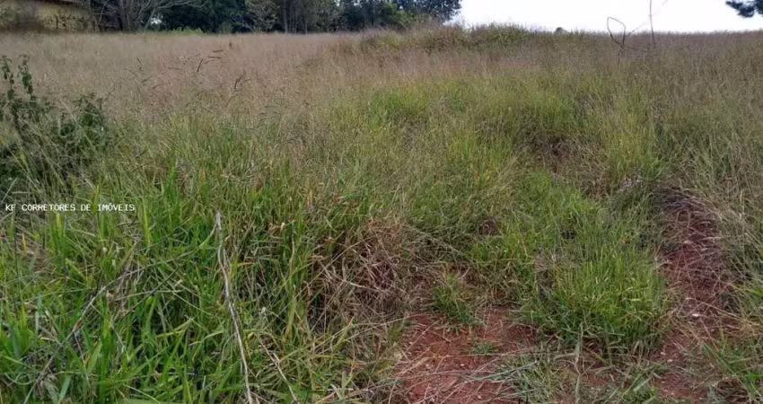Terreno em condomínio fechado à venda na Rua José Cipriano de Freitas, 161,2004, Centro, Ibiúna