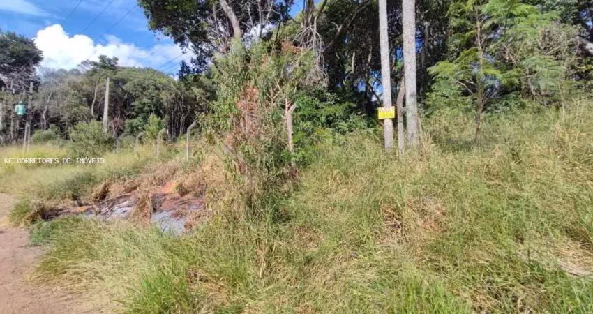 Terreno à venda na Rua José Cipriano de Freitas, 161.1226, Centro, Ibiúna