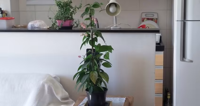 Apartamento com otima area de lazer