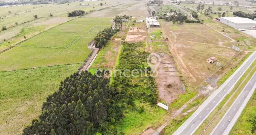 Terreno comercial à venda na Pedra de Amolar, Ilhota 