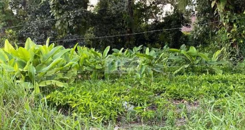 Lote 22,23 24,e,25 da quadra 30 de esquina com av araça