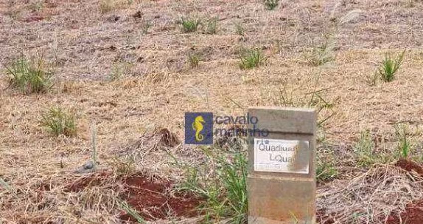 Terreno à venda, 250 m² por R$ 240.000,00 - Recreio Anhangüera - Ribeirão Preto/SP