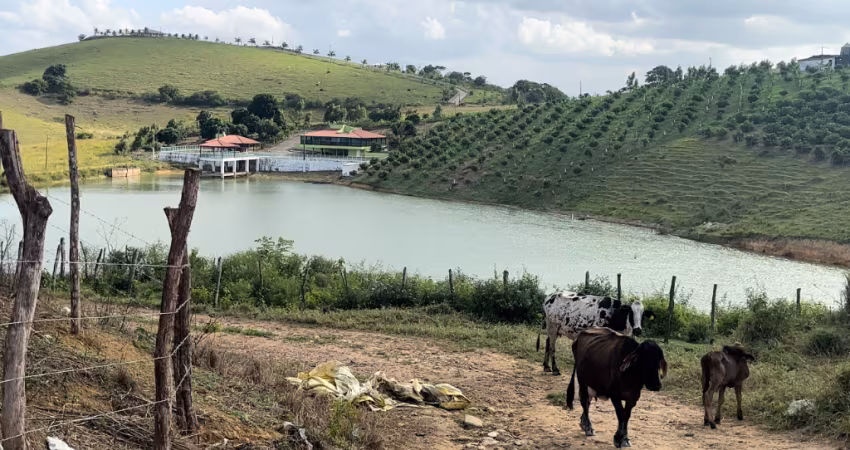Ffazenda em vitória de santo antão com água abundante