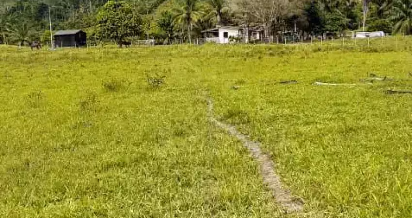 Fazenda com 1 sala à venda na Rodovia BR-101, 890, Centro, Eunápolis