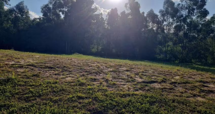 Lindo Lote Fundos para Mata Villa dos Pinheiros
