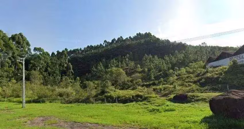 Terreno comercial à venda na BR 101, KM 172, Morretes, Tijucas