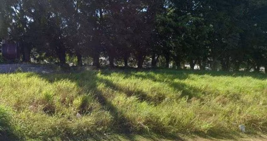 TERRENO COM ÁREA 800 M QUADRADOS COM VIABILIDADE 08 PAVIMENTOS