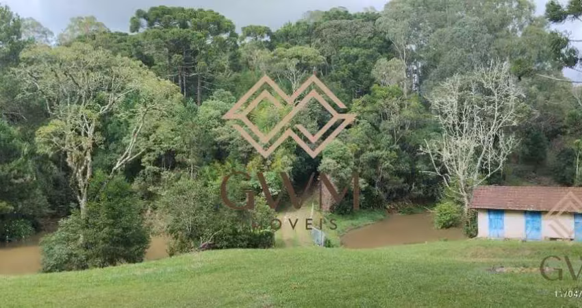 Chácara / sítio com 5 quartos à venda na Área Rural, 101, Zona Rural, São José dos Pinhais