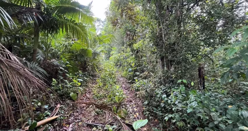 Terreno à venda na Strassmann, 1, Testo Rega, Pomerode