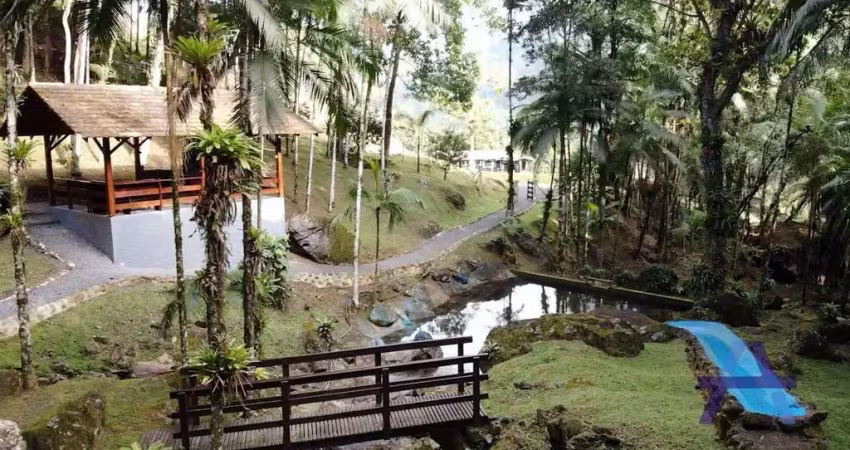 Chácara / sítio com 4 quartos à venda na Rua dos Imigrantes, 6550, Alto Cedros, Rio dos Cedros