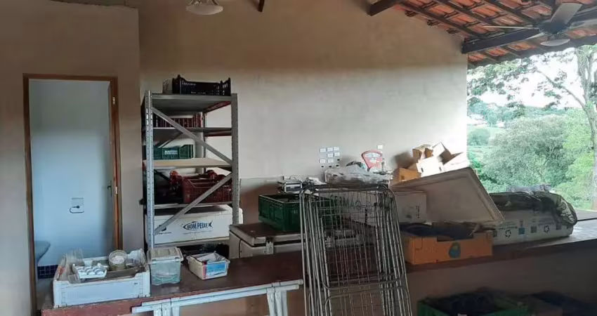 Sítio à venda em atibaia, estância parque (sítio santa ifigênia)