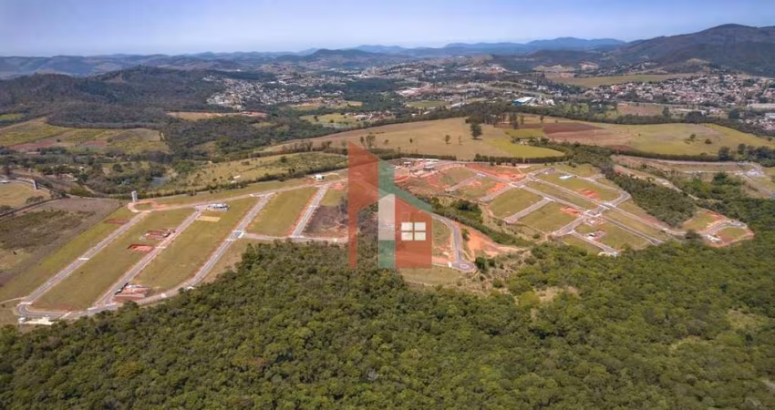 Lote Elementum