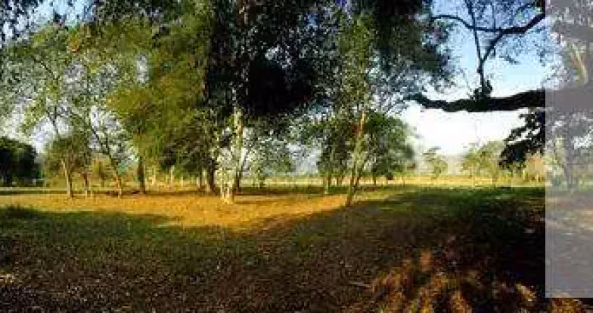 Ocean vende: cassorotiba, terreno, plano, cercado, 24.490m²