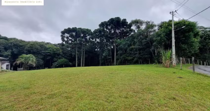 Perto de tudo/12km centro s.jose/20 de curitiba/morar lazer/luz/agua/asfalto r$
