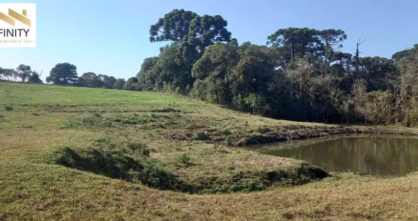 Bela chacara 90% limpa à 14 km do centro de s.j.pinhais $ 2 milhões