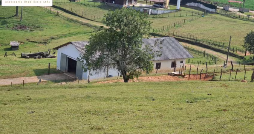5, Alqueire/Chácara Completa à 40min Curitiba/Barracão/Casas/ R$ 3.998.000