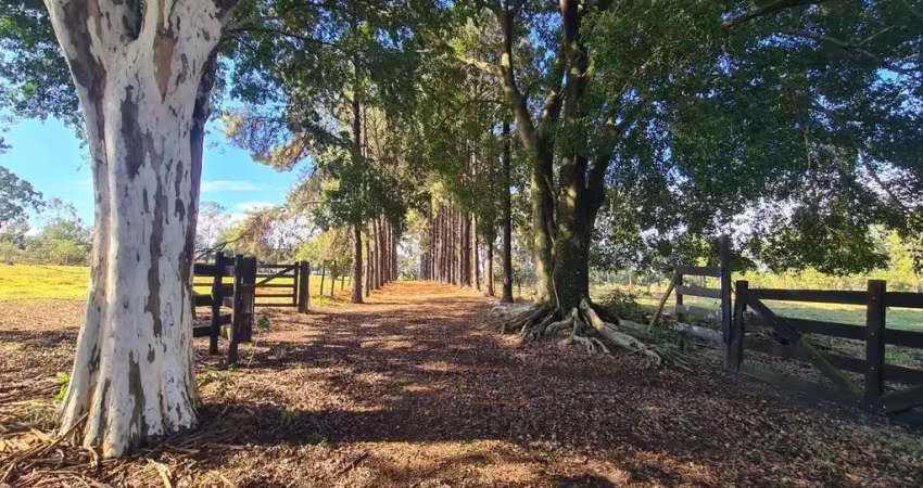 Sítio em cesário lange/sp com 4,59 alqueires: topografia excelente e acesso à castelo branco.