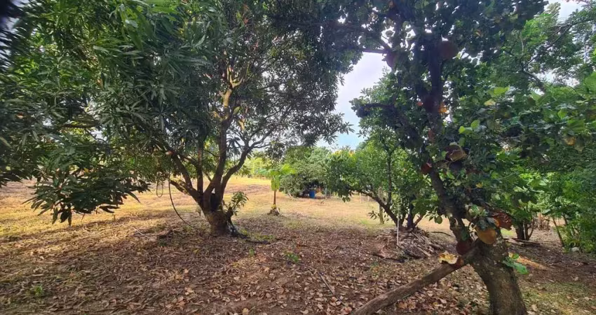 Chacara à venda em cesário lange-sp, bairro guarapó, com 5.287,00 m² de área: sua oportunidade de investimento!