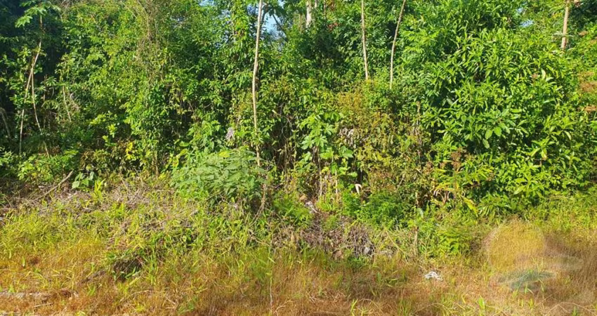 Terreno à venda, 192 m² por R$48.000,00 Balneário Alvorada Itapoá Sc.