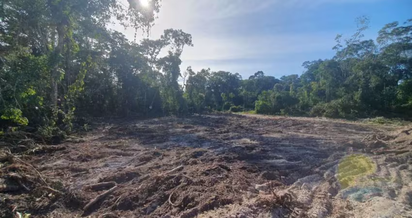 Terreno à venda, 192 m² por r$52.000,00 balneário alvorada itapoá sc.