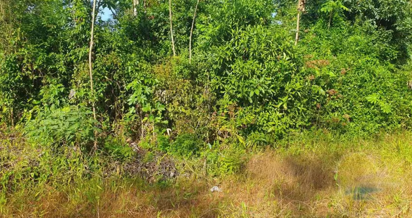 Terreno à venda, 168 m² por r$48.000,00 balneário alvorada itapoá sc.