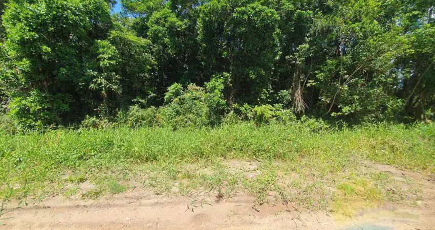 Terreno à venda, 450 m² por r$165.000,00 - balneário saí mirim - itapoá sc.