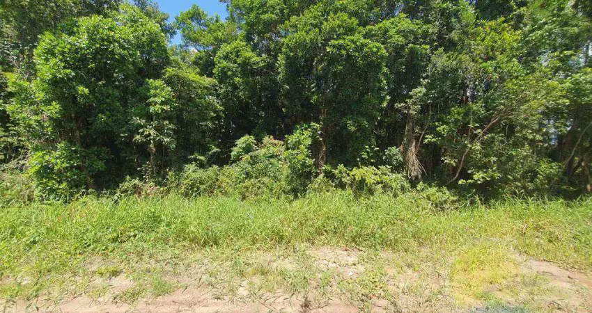 Terreno à venda, 450 m² por r$165.000,00 - balneário saí mirim - itapoá sc.