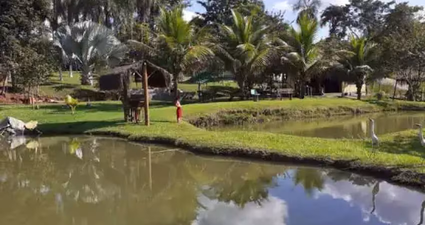 Chácara em bela vista de goiás, 4.300 metros, rica em água.