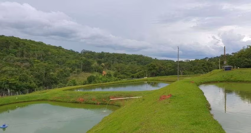 Chácara 24,5 hectares em Orizona - GO