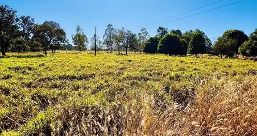 Chácara / sítio com 3 quartos à venda na RUA, Zona Rural, Bela Vista de Goiás
