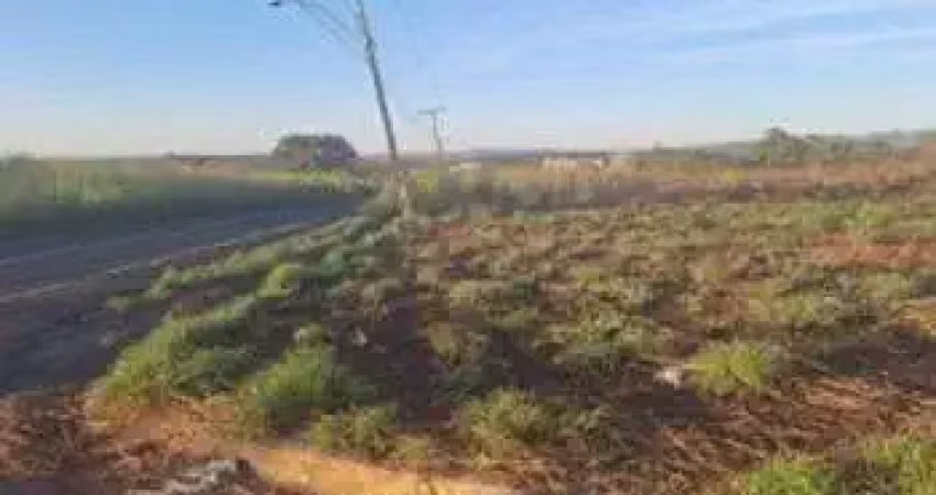 Terreno comercial à venda na GO-309, LT.13, Zona Rural, Caldas Novas