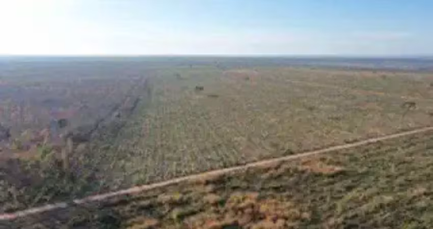 Terreno comercial à venda na Fazenda Três Riachos, 00, Zona Rural, Santa Fé de Minas