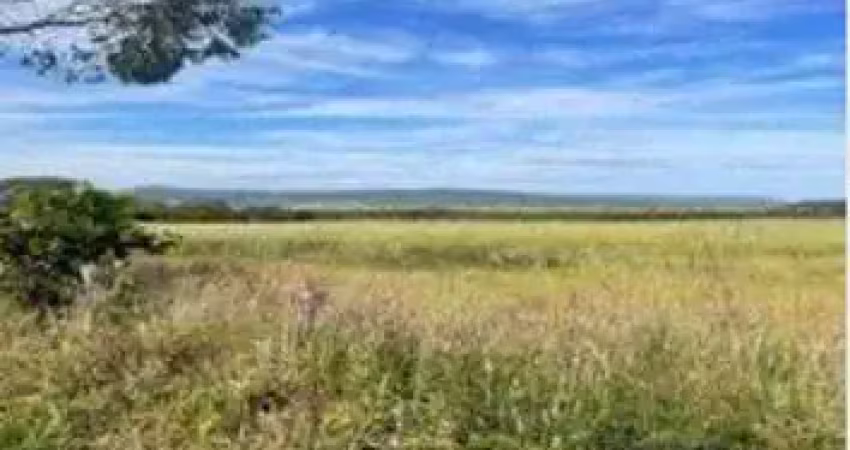Área  à venda com 25,94 hectares em caldas novas - go