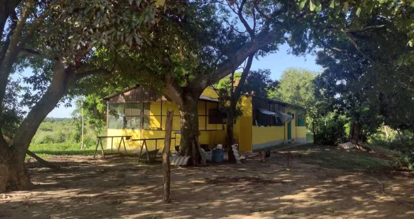 CHÁCARA A VENDA, 03 QUARTOS, MATO GROSSO DO SUL