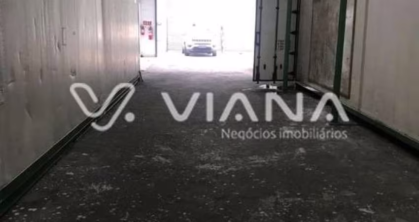 Galpão para Locação no Bairro Vila Guiomar em  Santo André