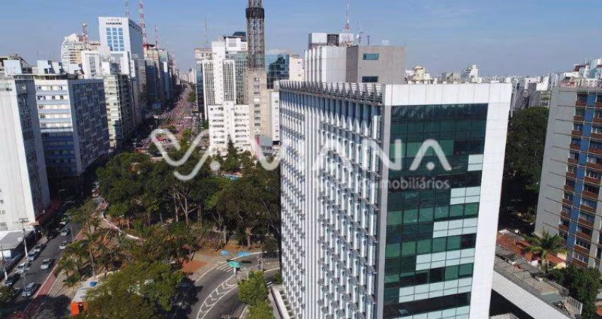 Conjunto Comercial Bairro Higianopólis São Paulo SP