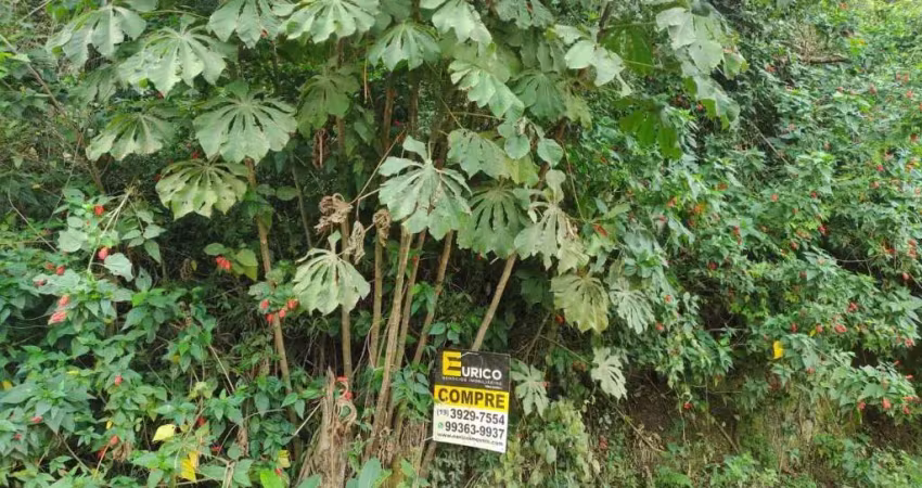 Terreno à venda na Alameda dos Mamoeiros, --, Parque Valinhos, Valinhos