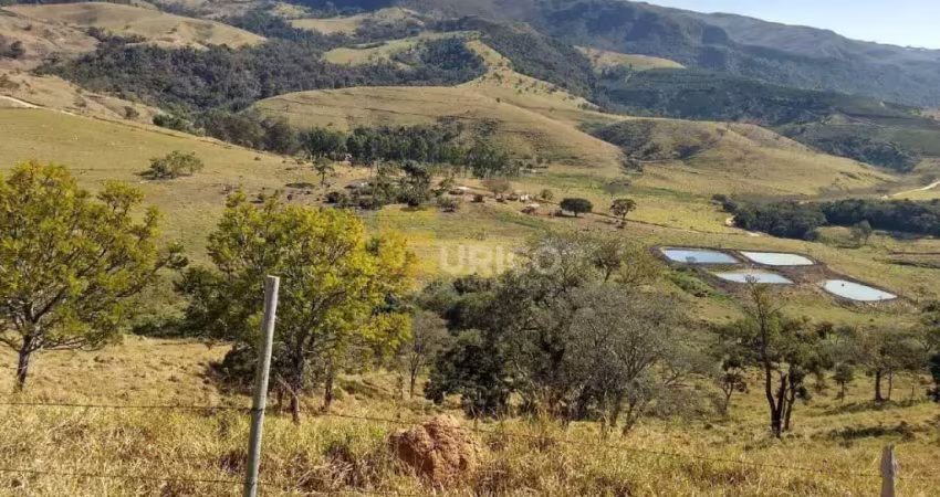 Chácara / sítio com 3 quartos à venda na Estrada Ilicínea - Buracão, --, Zona Rural, Ilicínea