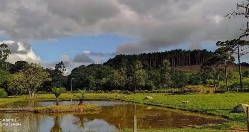Chácara / sítio à venda na Colônia Nova, Agudos do Sul 
