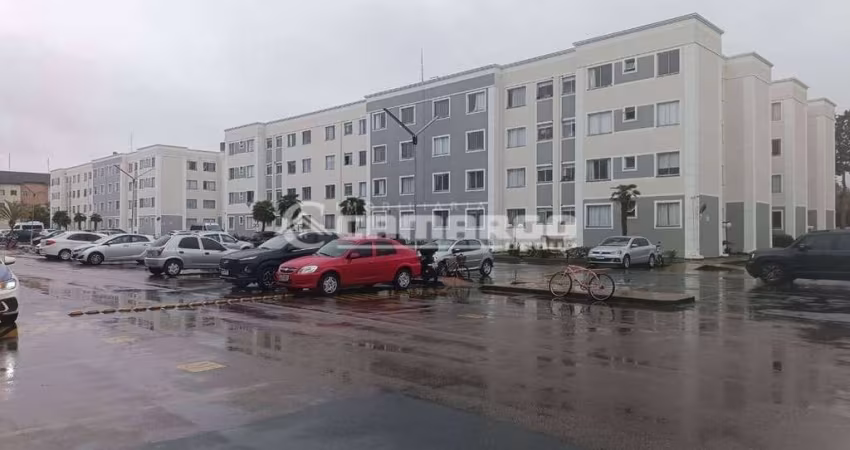 Apartamento Totalmente Mobiliado em SJP ( iMPECÁVEL)