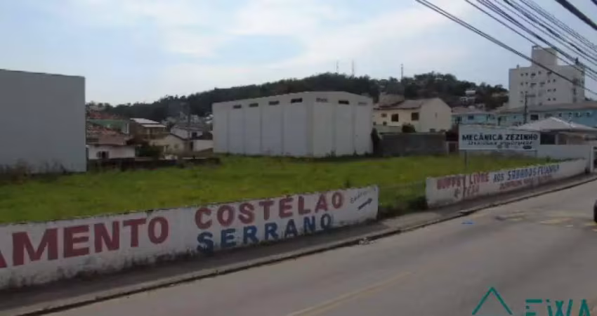 Terreno comercial para alugar na Benjamim Gerlach, Fazenda Santo Antônio, São José