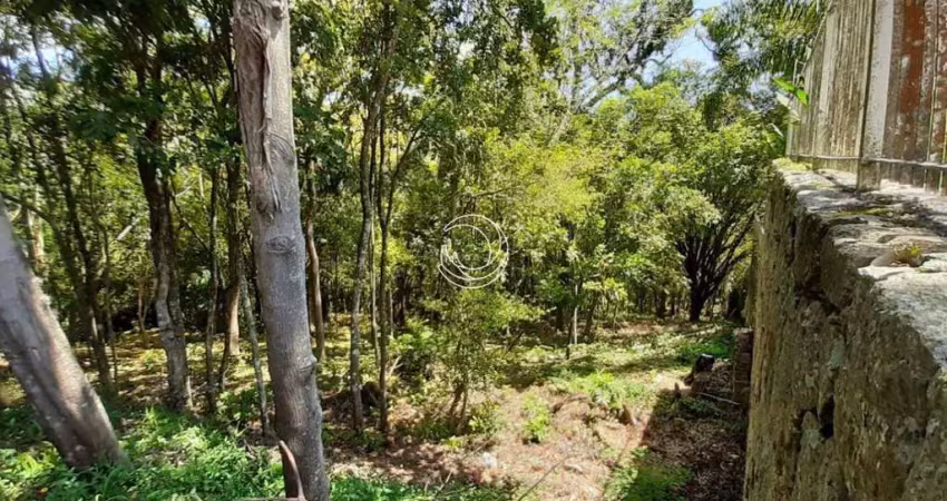 Terreno para venda em florianópolis, lagoa da conceição