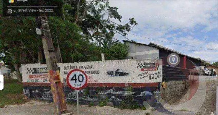 Terreno à venda na Rodovia Doutor Antônio Luiz Moura Gonzaga, Rio Tavares, Florianópolis