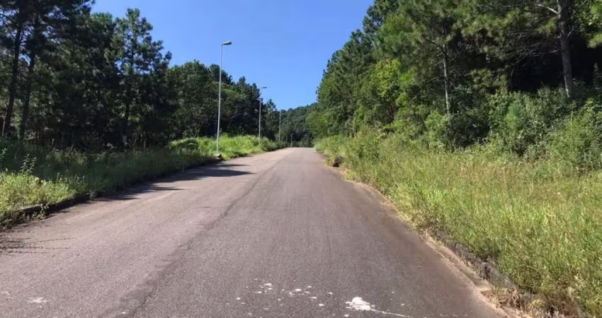 Terreno à venda na Rodovia Admar Gonzaga, Itacorubi, Florianópolis