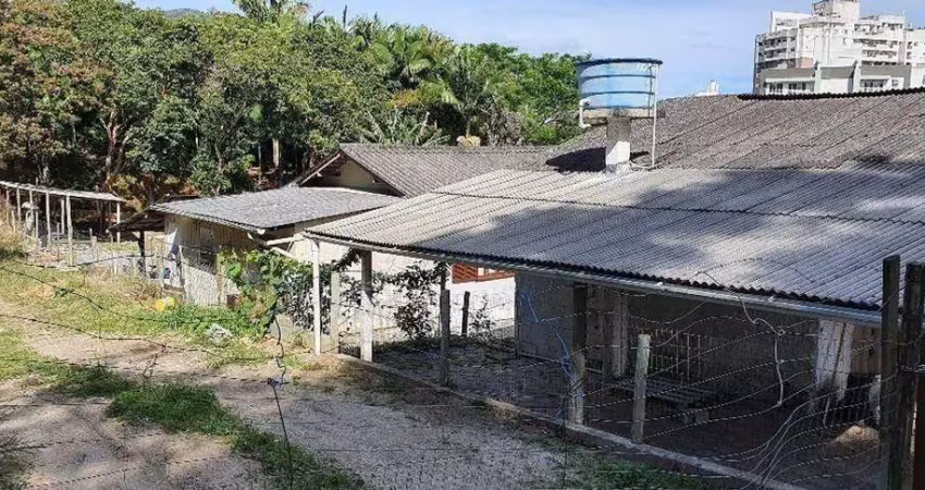 Terreno à venda na Servidão Alexandre Euzébio Jacinto, Itacorubi, Florianópolis